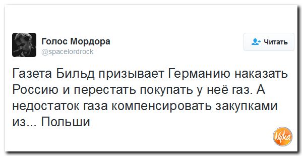 "Мыздобулы" в картинках. Смешных и не очень... 21-10-2016 "Мыздобулы" в картинках. Смешных и не очень... 21-10-2016