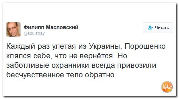 "Мыздобулы" в картинках. Смешных и не очень... 21-10-2016 "Мыздобулы" в картинках. Смешных и не очень... 21-10-2016