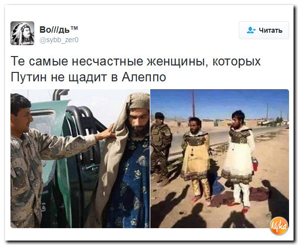 "Мыздобулы" в картинках. Смешных и не очень... 21-10-2016 "Мыздобулы" в картинках. Смешных и не очень... 21-10-2016