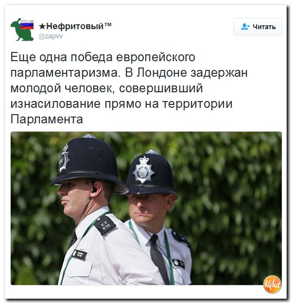 "Мыздобулы" в картинках. Смешных и не очень... 21-10-2016 "Мыздобулы" в картинках. Смешных и не очень... 21-10-2016