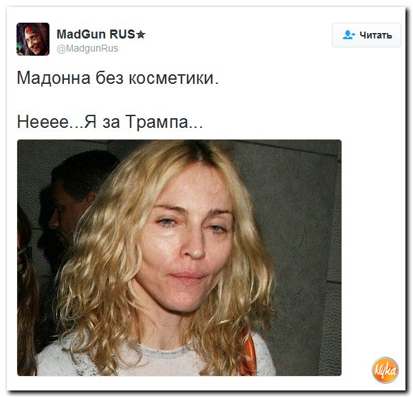 "Мыздобулы" в картинках. Смешных и не очень... 21-10-2016 "Мыздобулы" в картинках. Смешных и не очень... 21-10-2016