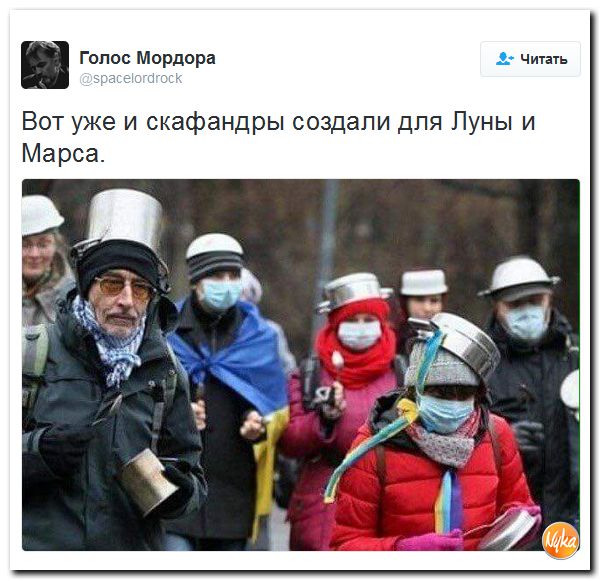 "Мыздобулы" в картинках. Смешных и не очень... 21-10-2016 "Мыздобулы" в картинках. Смешных и не очень... 21-10-2016