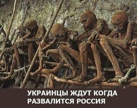 "Мыздобулы" в картинках. Смешных и не очень... 22-10-2016 "Мыздобулы" в картинках. Смешных и не очень... 22-10-2016