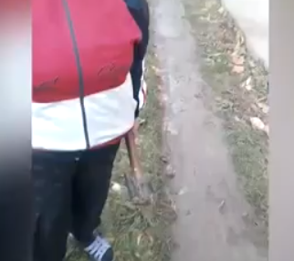 На Франковщине мать с топором защищала своего сына от военкома