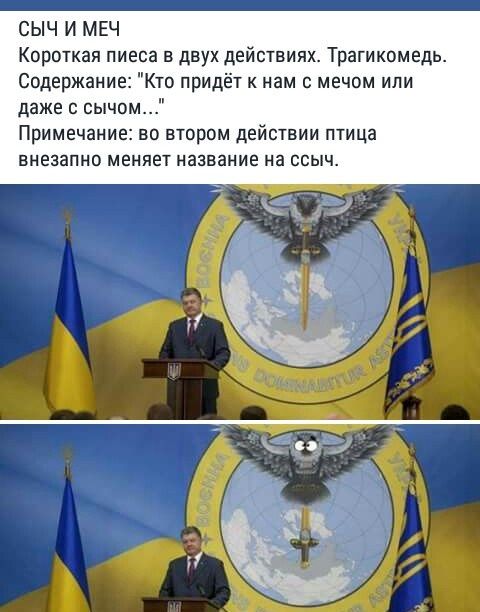 В Сети высмеивают новую эмблему украинской разведки с совой, разящей мечом Россию В Сети высмеивают новую эмблему украинской разведки с совой, разящей мечом Россию