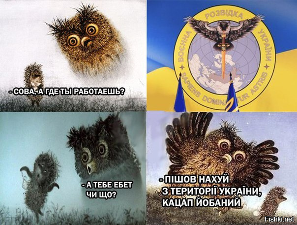 "Мыздобулы" в картинках. Смешных и не очень... 31-10-2016