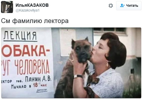 "Мыздобулы" в картинках. Смешных и не очень... 31-10-2016