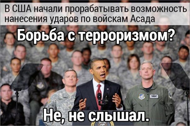 "Мыздобулы" в картинках. Смешных и не очень... 2-10-2016