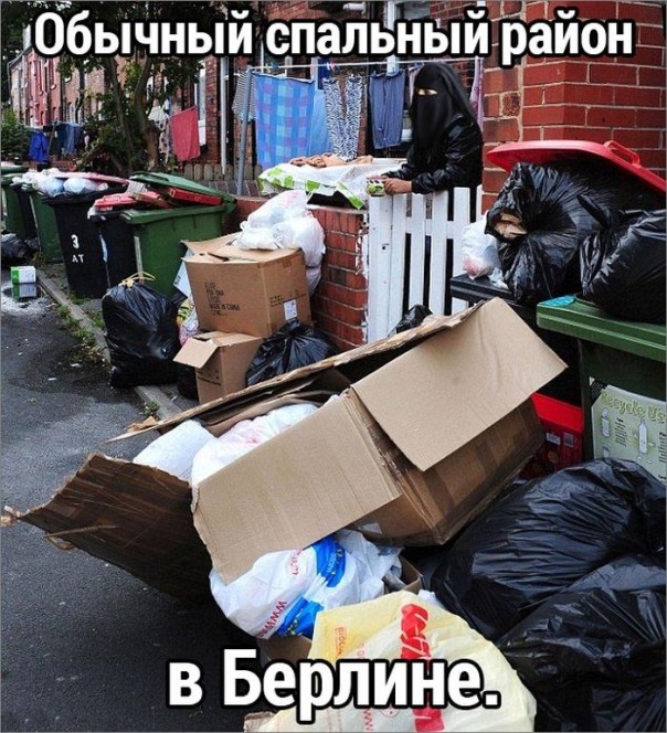 "Мыздобулы" в картинках. Смешных и не очень... 2-10-2016