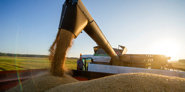 Стратегия России в Прибалтике: не мешайте им исчезнуть