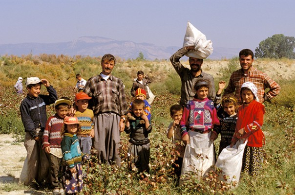 Турция и курды: история войны Турция и курды: история войны