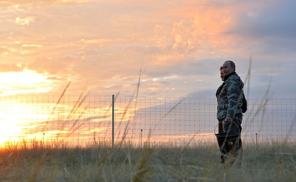 Президент РФ в Оренбургской области: бизнес и лошади Президент РФ в Оренбургской области: бизнес и лошади