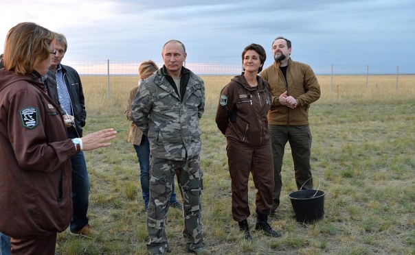 Президент РФ в Оренбургской области: бизнес и лошади Президент РФ в Оренбургской области: бизнес и лошади