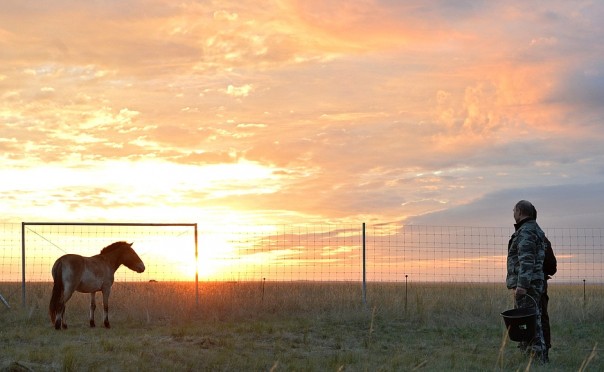 Президент РФ в Оренбургской области: бизнес и лошади