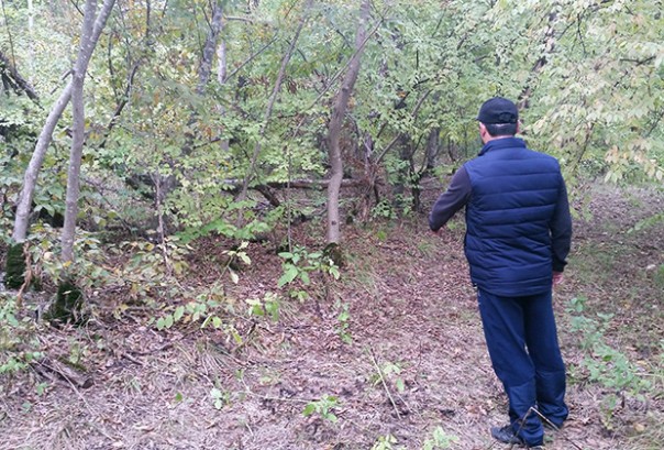 Братья работают