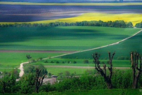 МВФ требует от Украины продавать землю