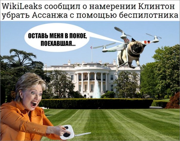 "Мыздобулы" в картинках. Смешных и не очень... 5-10-2016 "Мыздобулы" в картинках. Смешных и не очень... 5-10-2016