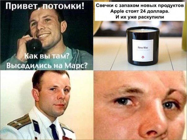 "Мыздобулы" в картинках. Смешных и не очень... 5-10-2016 "Мыздобулы" в картинках. Смешных и не очень... 5-10-2016