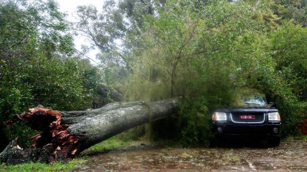Закрывайте этажи - скоро будут грабежи! Закрывайте этажи - скоро будут грабежи!