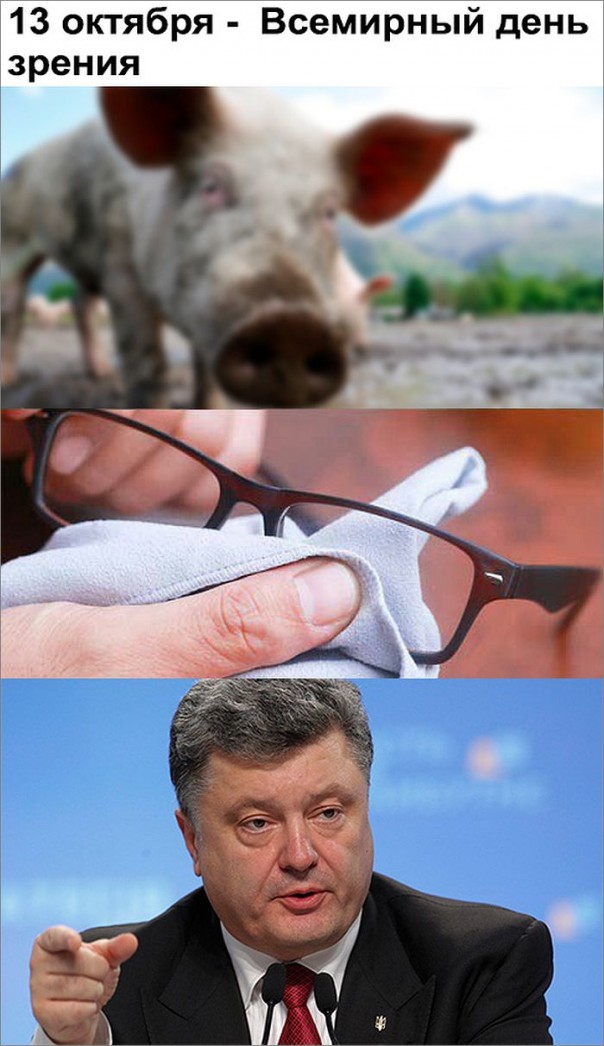 "Мыздобулы" в картинках. Смешных и не очень... 13-10-2016 "Мыздобулы" в картинках. Смешных и не очень... 13-10-2016