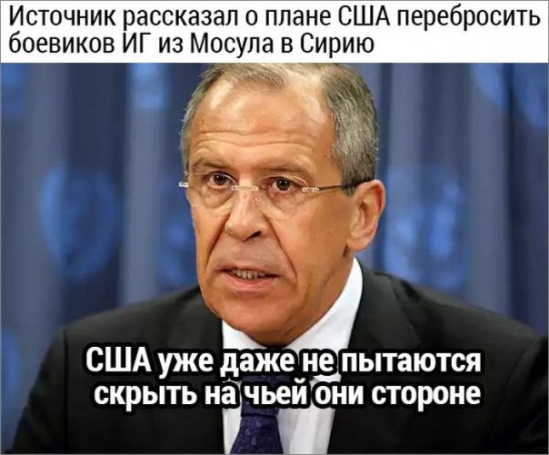 "Мыздобулы" в картинках. Смешных и не очень... 13-10-2016 "Мыздобулы" в картинках. Смешных и не очень... 13-10-2016