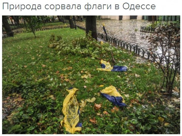 "Мыздобулы" в картинках. Смешных и не очень... 15-10-2016 "Мыздобулы" в картинках. Смешных и не очень... 15-10-2016