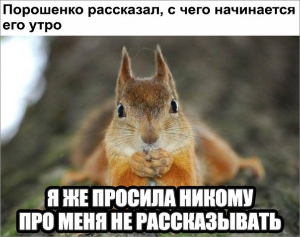 "Мыздобулы" в картинках. Смешных и не очень... 15-10-2016 "Мыздобулы" в картинках. Смешных и не очень... 15-10-2016