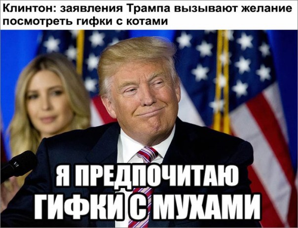 "Мыздобулы" в картинках. Смешных и не очень... 15-10-2016 "Мыздобулы" в картинках. Смешных и не очень... 15-10-2016