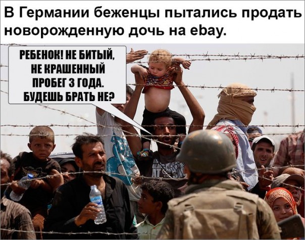 "Мыздобулы" в картинках. Смешных и не очень... 15-10-2016 "Мыздобулы" в картинках. Смешных и не очень... 15-10-2016