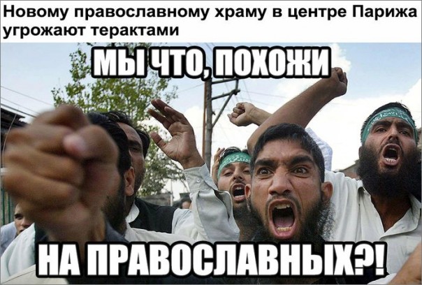 "Мыздобулы" в картинках. Смешных и не очень... 15-10-2016 "Мыздобулы" в картинках. Смешных и не очень... 15-10-2016