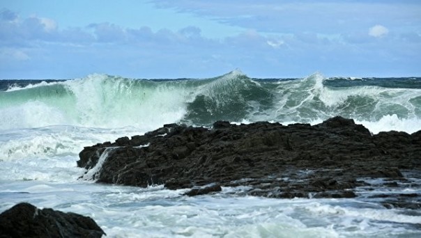 Kyodo: Япония может признать право России на два Курильских острова 