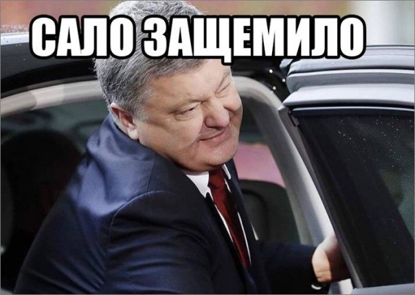 "Мыздобулы" в картинках. Смешных и не очень... 21-10-2016 "Мыздобулы" в картинках. Смешных и не очень... 21-10-2016