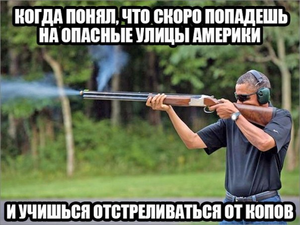 "Мыздобулы" в картинках. Смешных и не очень... 21-10-2016 "Мыздобулы" в картинках. Смешных и не очень... 21-10-2016