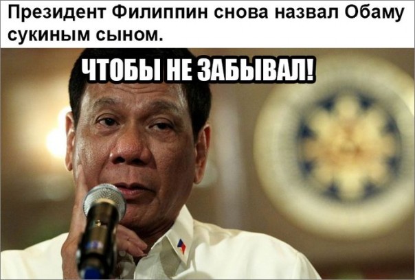 "Мыздобулы" в картинках. Смешных и не очень... 21-10-2016 "Мыздобулы" в картинках. Смешных и не очень... 21-10-2016