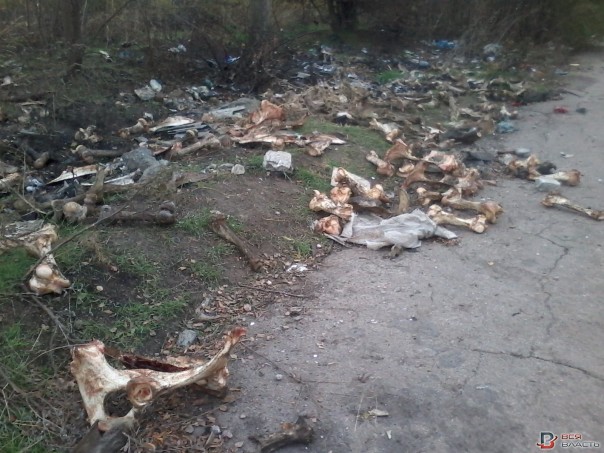 Запорожская трасса устлана костями и черепами