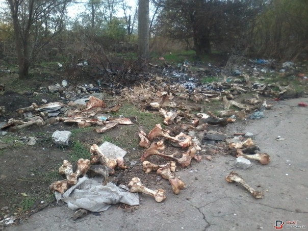 Запорожская трасса устлана костями и черепами Запорожская трасса устлана костями и черепами