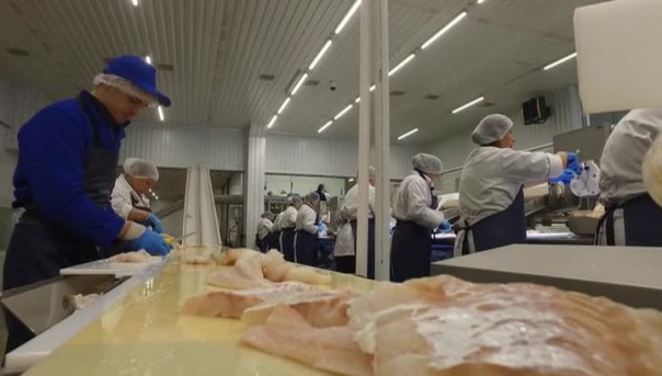 Русская рыба. Документальный фильм