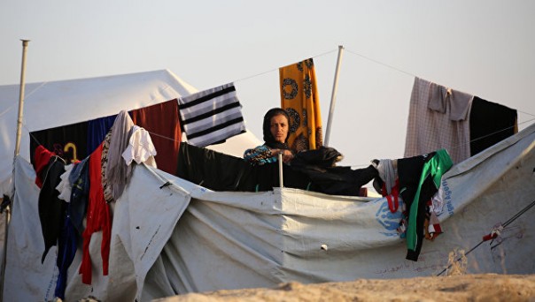 Сенатор призвал поднять в СБ ООН тему гибели мирных граждан в Ираке