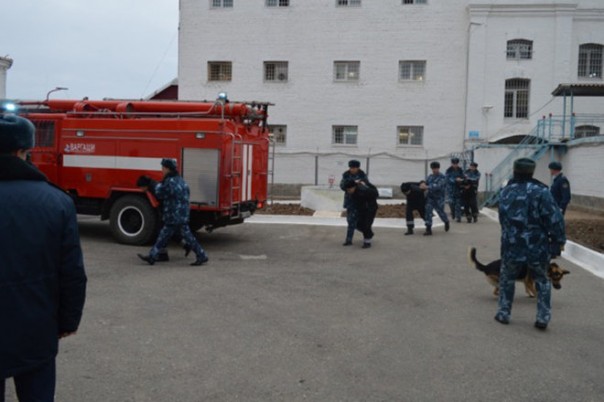 "Лебедь", "сова" и "дельфин": как живут в самых строгих тюрьмах России