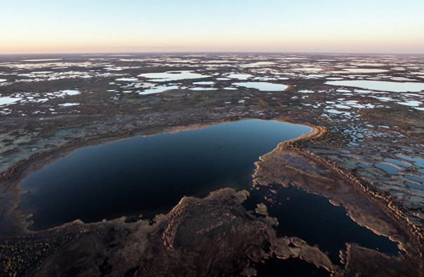 "Лебедь", "сова" и "дельфин": как живут в самых строгих тюрьмах России