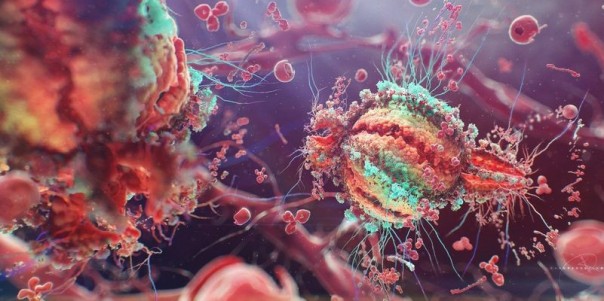 Обитель вирусов. Специальный репортаж Анны Афанасьевой