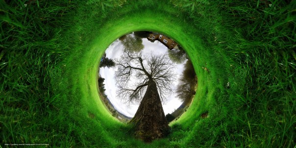 И будет на Марсе Чорное море штормить... И будет на Марсе Чорное море штормить...