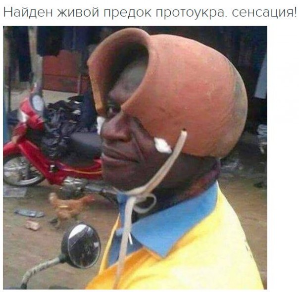 "Мыздобулы" в картинках. Смешных и не очень... 31-10-2016