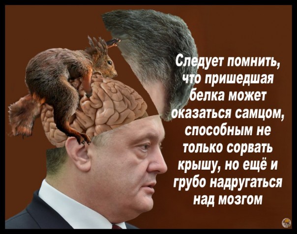 "Мыздобулы" в картинках. Смешных и не очень... 31-10-2016