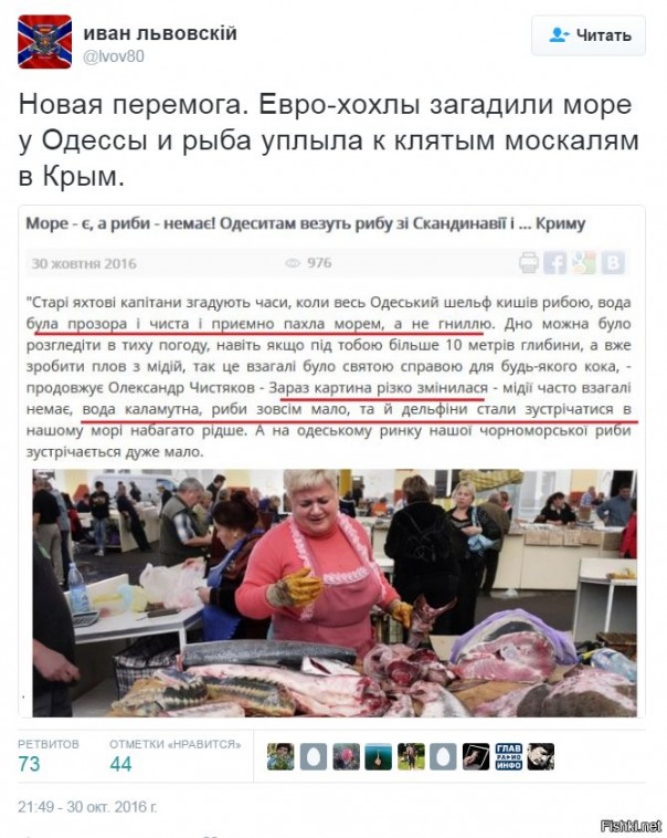 "Мыздобулы" в картинках. Смешных и не очень... 31-10-2016