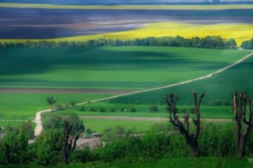 МВФ требует от Украины продавать землю