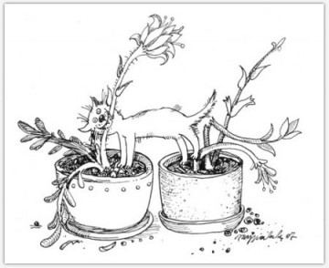 "Правила кошек"  Маргариты Журавлевой