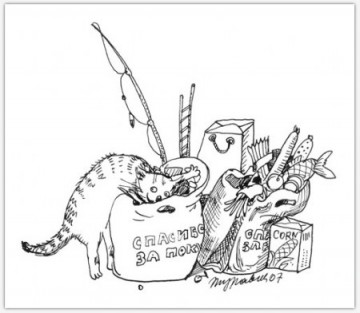 "Правила кошек"  Маргариты Журавлевой