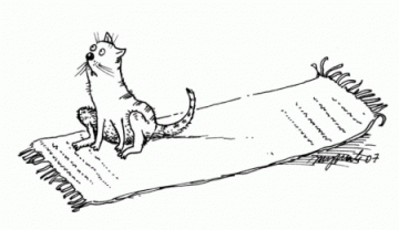 "Правила кошек"  Маргариты Журавлевой