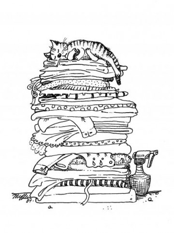 "Правила кошек"  Маргариты Журавлевой